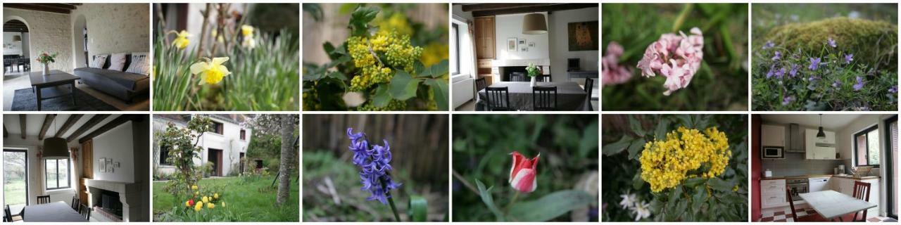 La Croix Des Granges Villa มงต์ลุยส์-ซูร์-ลัวร์ ภายนอก รูปภาพ