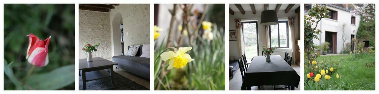 La Croix Des Granges Villa มงต์ลุยส์-ซูร์-ลัวร์ ภายนอก รูปภาพ